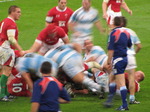 SX10820 Scrum Wales vs. Argentina.jpg